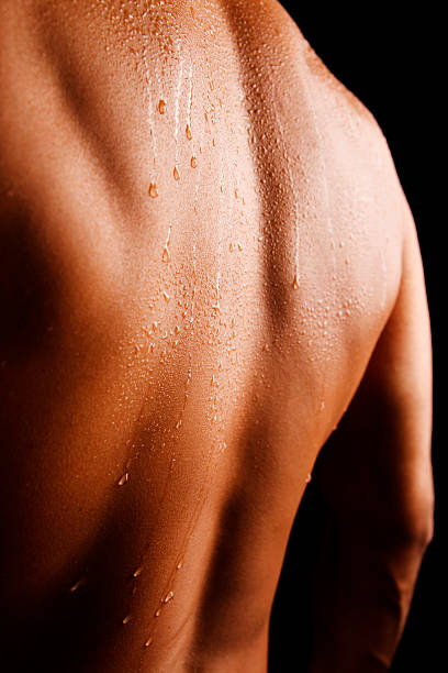 Modern infrared sauna interior with comfortable seating and warm ambient lighting